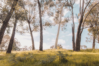 The Ultimate Guide to No-Bite Skincare for Outdoor Adventures